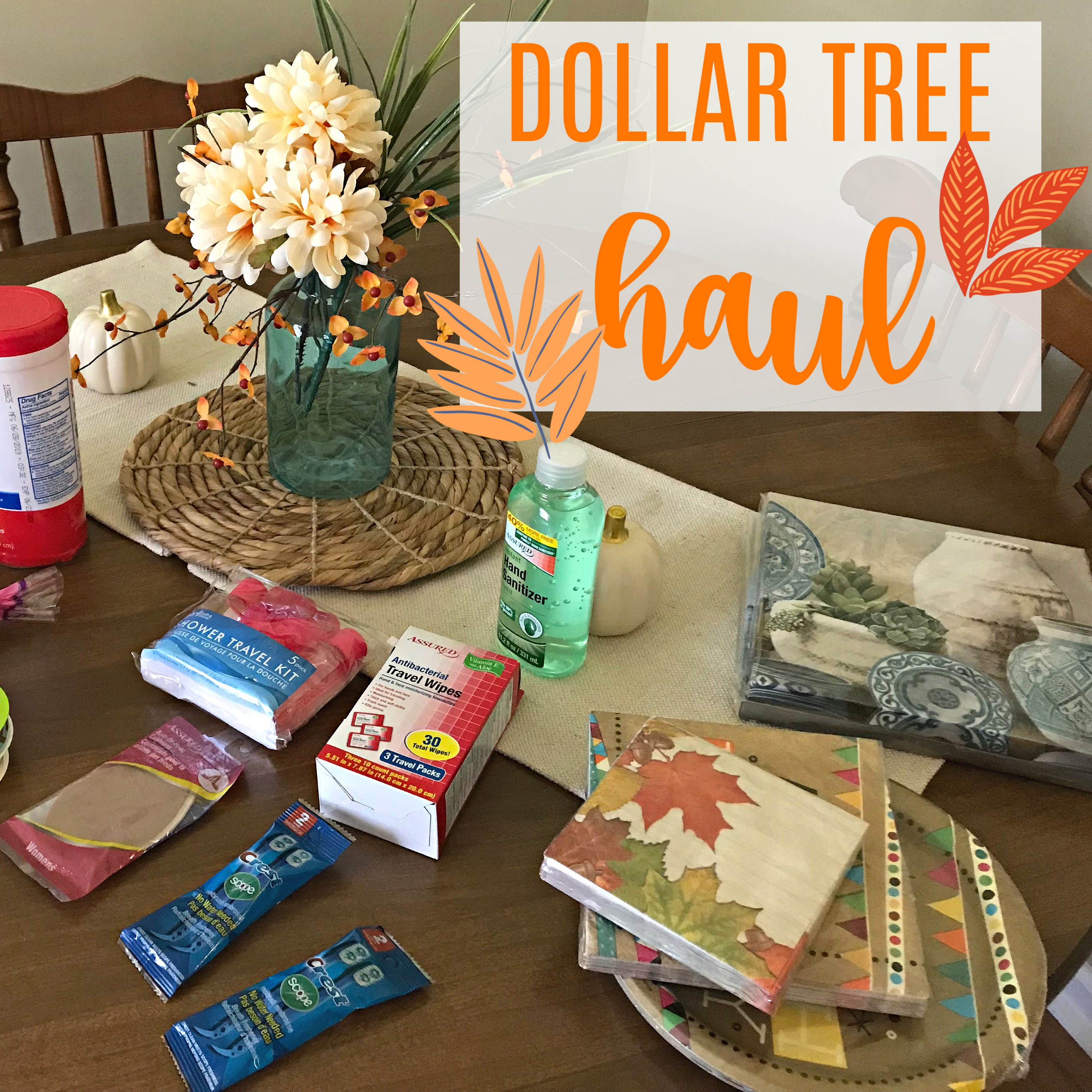 Dollar Tree Haul: Travel Items, Household Supplies and Fun Finds – Come  Home For Comfort